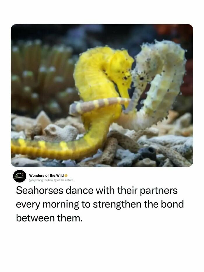 50 Fun And Interesting Facts To Add To Your Collection Of Random Knowledge (New Pics) 50 Fun And Interesting Facts To Add To Your Collection Of Random Knowledge (New Pics)