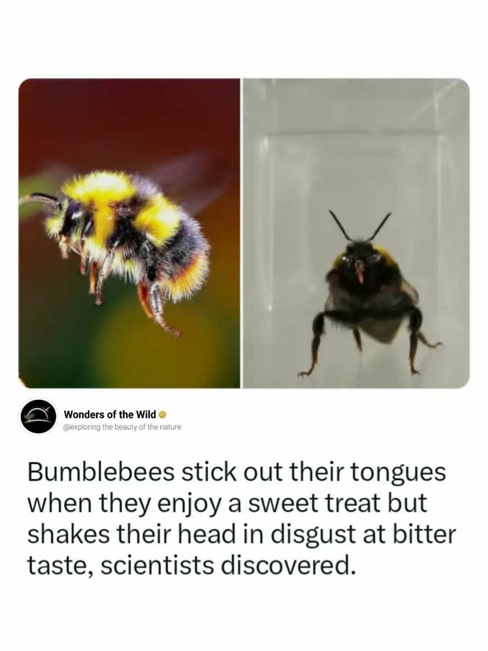 50 Fun And Interesting Facts To Add To Your Collection Of Random Knowledge (New Pics) 50 Fun And Interesting Facts To Add To Your Collection Of Random Knowledge (New Pics)