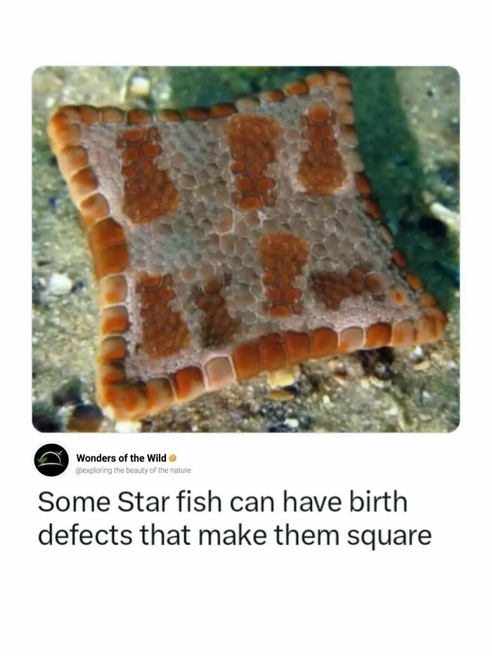 50 Fun And Interesting Facts To Add To Your Collection Of Random Knowledge (New Pics) 50 Fun And Interesting Facts To Add To Your Collection Of Random Knowledge (New Pics)
