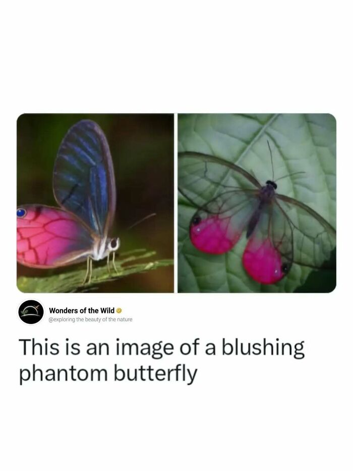50 Fun And Interesting Facts To Add To Your Collection Of Random Knowledge (New Pics) 50 Fun And Interesting Facts To Add To Your Collection Of Random Knowledge (New Pics)