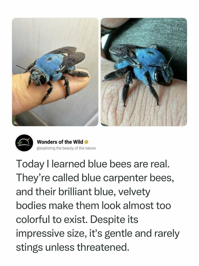 50 Fun And Interesting Facts To Add To Your Collection Of Random Knowledge (New Pics) 50 Fun And Interesting Facts To Add To Your Collection Of Random Knowledge (New Pics)
