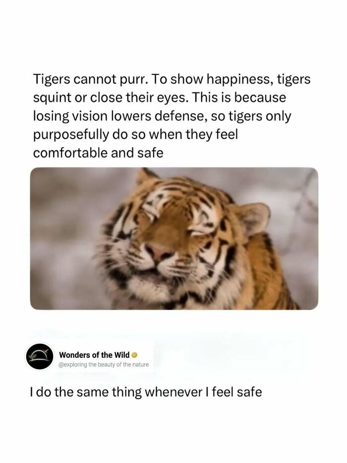 50 Fun And Interesting Facts To Add To Your Collection Of Random Knowledge (New Pics) 50 Fun And Interesting Facts To Add To Your Collection Of Random Knowledge (New Pics)