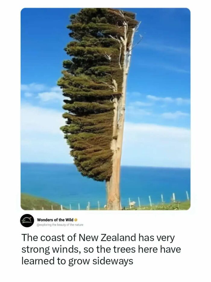 50 Fun And Interesting Facts To Add To Your Collection Of Random Knowledge (New Pics) 50 Fun And Interesting Facts To Add To Your Collection Of Random Knowledge (New Pics)