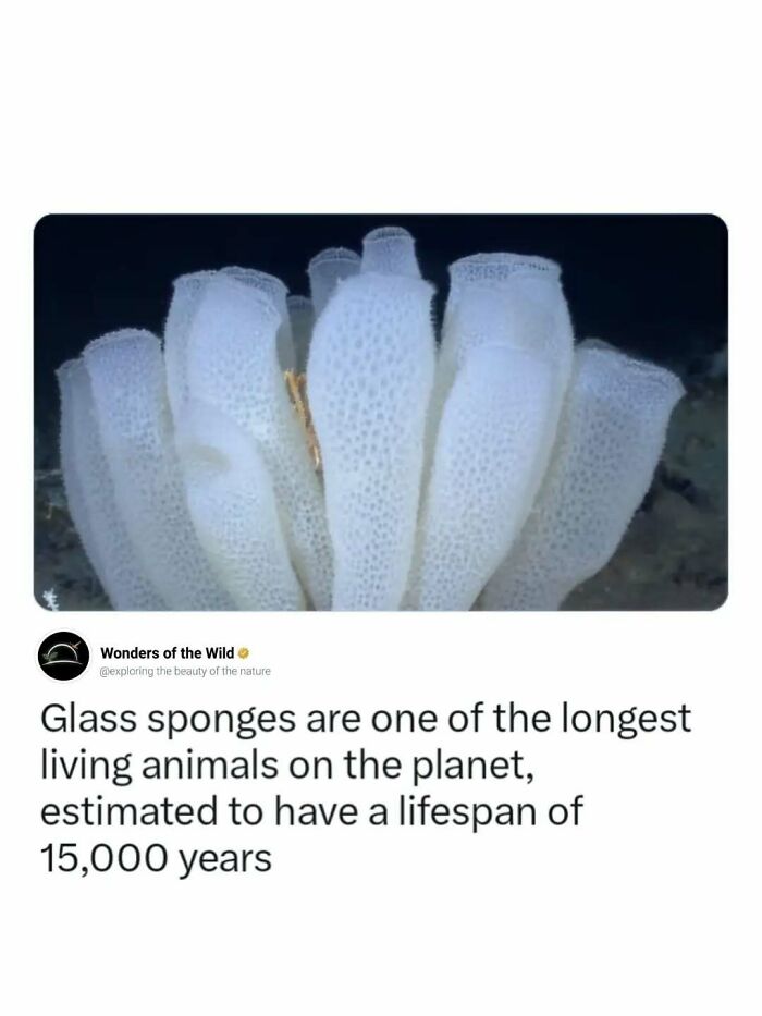 50 Fun And Interesting Facts To Add To Your Collection Of Random Knowledge (New Pics) 50 Fun And Interesting Facts To Add To Your Collection Of Random Knowledge (New Pics)