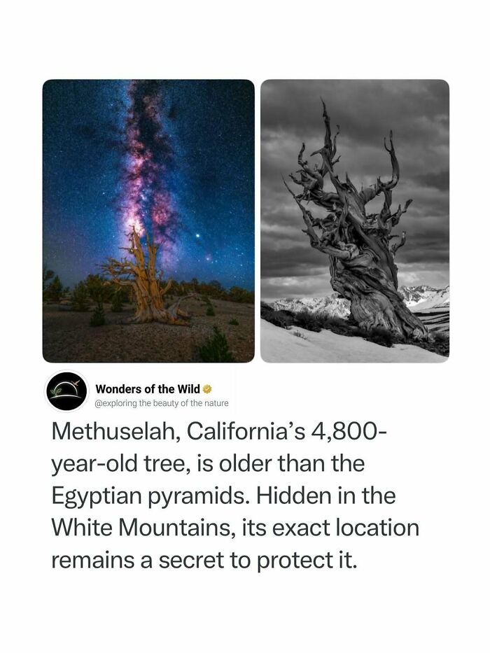 50 Fun And Interesting Facts To Add To Your Collection Of Random Knowledge (New Pics) 50 Fun And Interesting Facts To Add To Your Collection Of Random Knowledge (New Pics)