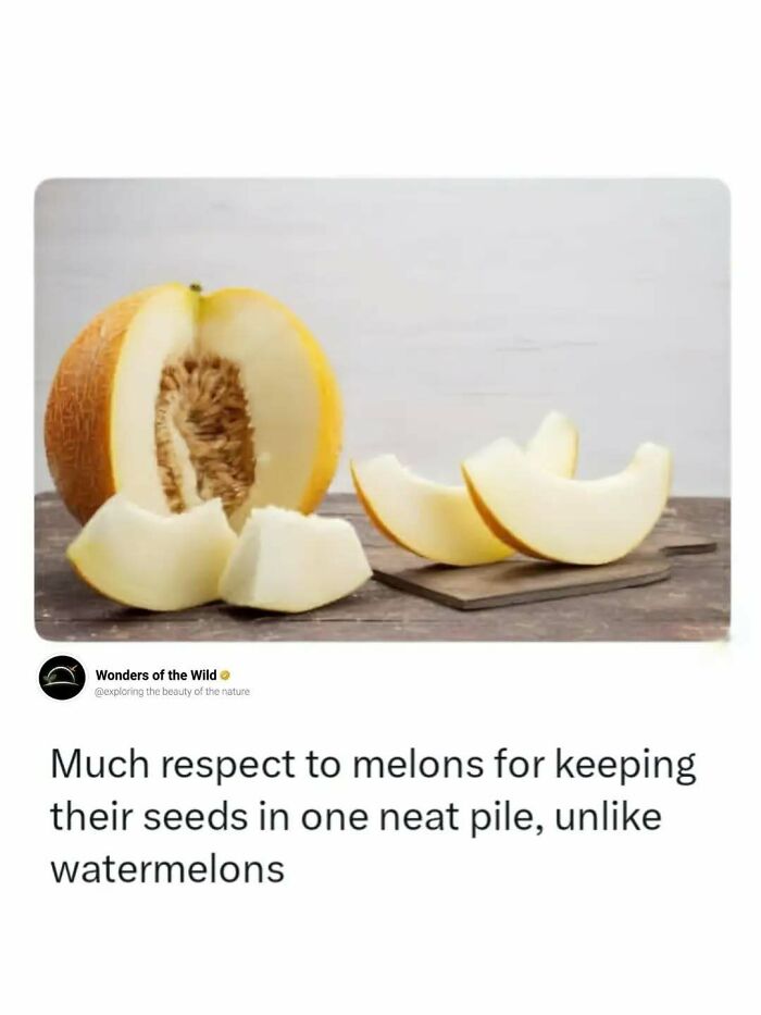 50 Fun And Interesting Facts To Add To Your Collection Of Random Knowledge (New Pics) 50 Fun And Interesting Facts To Add To Your Collection Of Random Knowledge (New Pics)