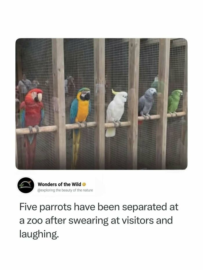 50 Fun And Interesting Facts To Add To Your Collection Of Random Knowledge (New Pics) 50 Fun And Interesting Facts To Add To Your Collection Of Random Knowledge (New Pics)