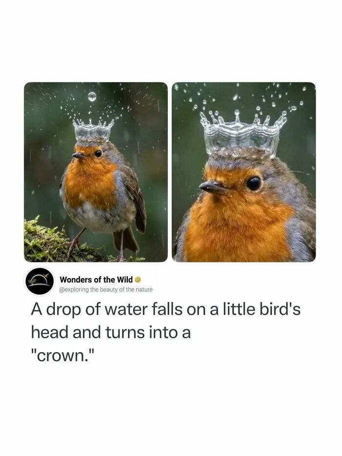 50 Fun And Interesting Facts To Add To Your Collection Of Random Knowledge (New Pics) 50 Fun And Interesting Facts To Add To Your Collection Of Random Knowledge (New Pics)