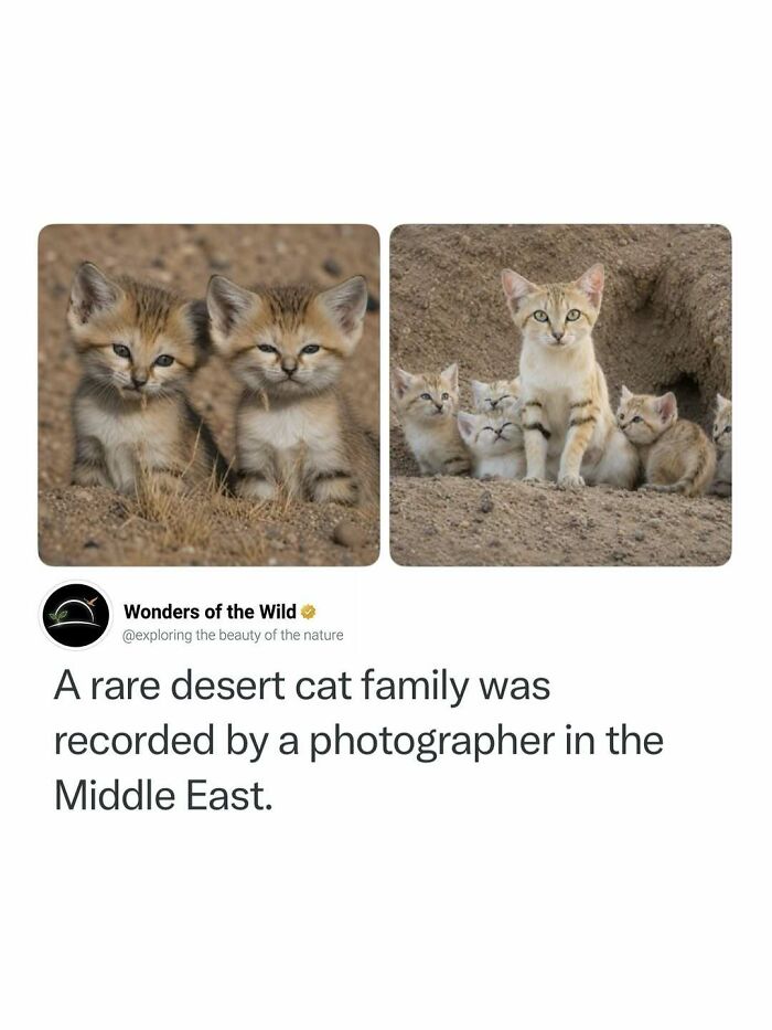 50 Fun And Interesting Facts To Add To Your Collection Of Random Knowledge (New Pics) 50 Fun And Interesting Facts To Add To Your Collection Of Random Knowledge (New Pics)