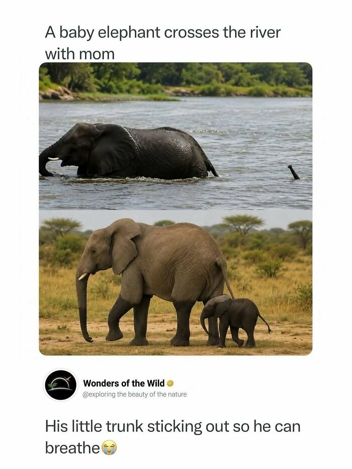 50 Fun And Interesting Facts To Add To Your Collection Of Random Knowledge (New Pics) 50 Fun And Interesting Facts To Add To Your Collection Of Random Knowledge (New Pics)