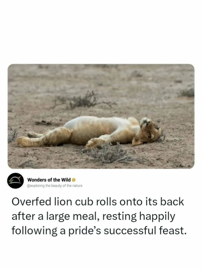 50 Fun And Interesting Facts To Add To Your Collection Of Random Knowledge (New Pics) 50 Fun And Interesting Facts To Add To Your Collection Of Random Knowledge (New Pics)
