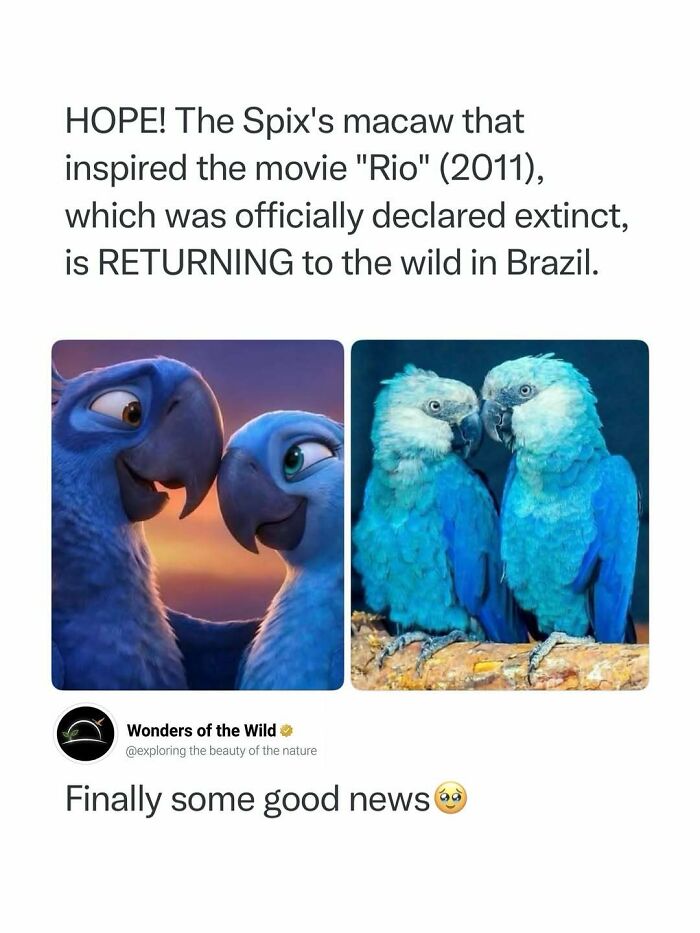 50 Fun And Interesting Facts To Add To Your Collection Of Random Knowledge (New Pics) 50 Fun And Interesting Facts To Add To Your Collection Of Random Knowledge (New Pics)