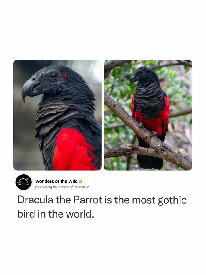 50 Fun And Interesting Facts To Add To Your Collection Of Random Knowledge (New Pics) 50 Fun And Interesting Facts To Add To Your Collection Of Random Knowledge (New Pics)