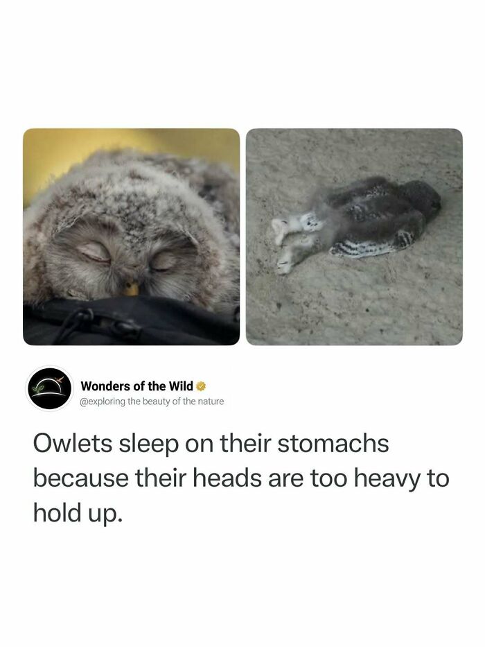 50 Fun And Interesting Facts To Add To Your Collection Of Random Knowledge (New Pics) 50 Fun And Interesting Facts To Add To Your Collection Of Random Knowledge (New Pics)