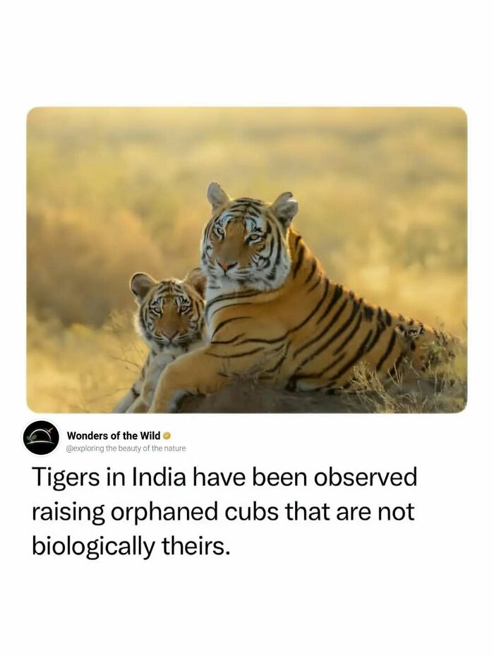 50 Fun And Interesting Facts To Add To Your Collection Of Random Knowledge (New Pics) 50 Fun And Interesting Facts To Add To Your Collection Of Random Knowledge (New Pics)