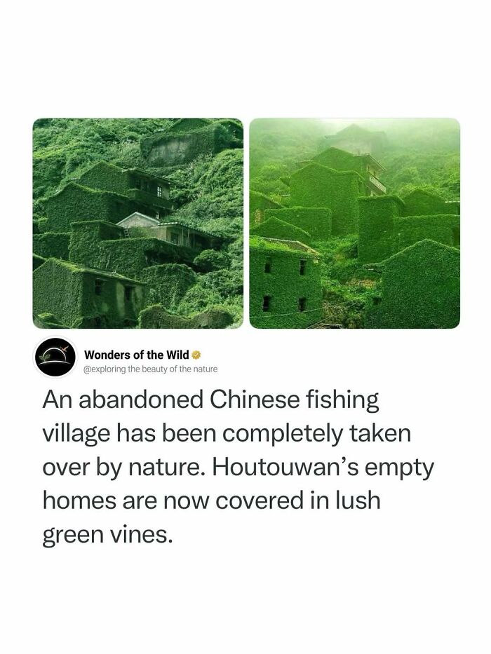 50 Fun And Interesting Facts To Add To Your Collection Of Random Knowledge (New Pics) 50 Fun And Interesting Facts To Add To Your Collection Of Random Knowledge (New Pics)