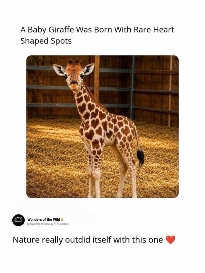 50 Fun And Interesting Facts To Add To Your Collection Of Random Knowledge (New Pics) 50 Fun And Interesting Facts To Add To Your Collection Of Random Knowledge (New Pics)