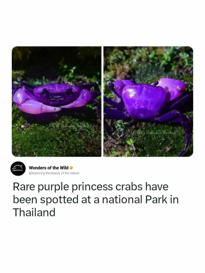 50 Fun And Interesting Facts To Add To Your Collection Of Random Knowledge (New Pics) 50 Fun And Interesting Facts To Add To Your Collection Of Random Knowledge (New Pics)