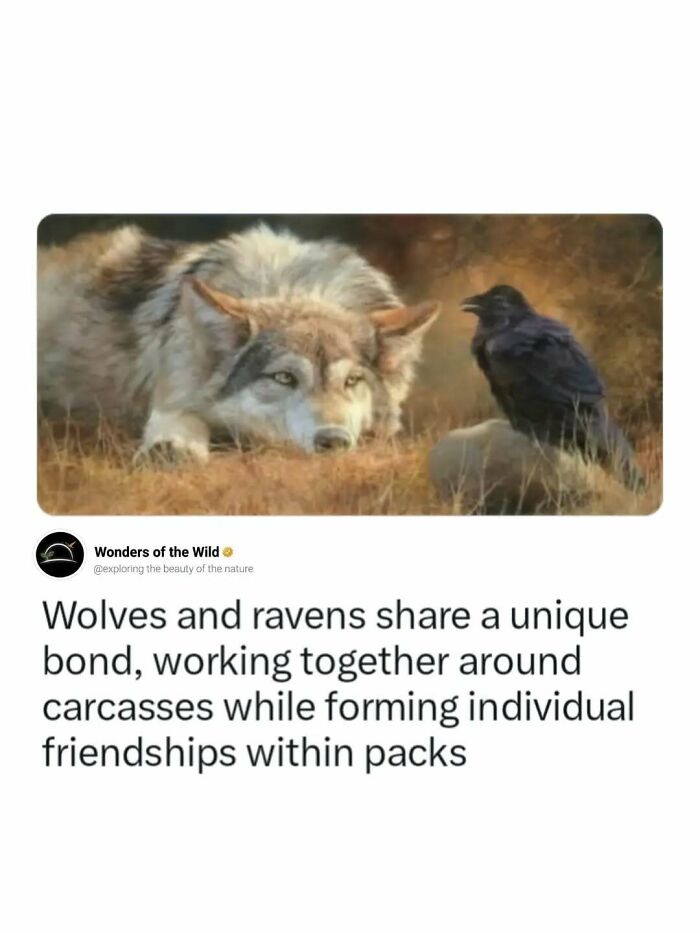 50 Fun And Interesting Facts To Add To Your Collection Of Random Knowledge (New Pics) 50 Fun And Interesting Facts To Add To Your Collection Of Random Knowledge (New Pics)