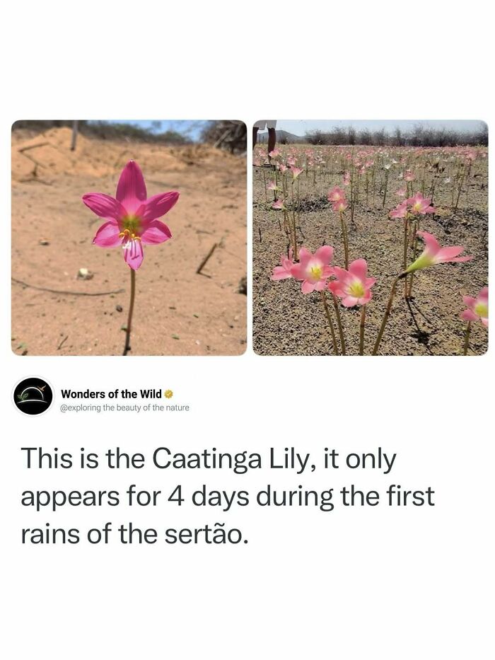 50 Fun And Interesting Facts To Add To Your Collection Of Random Knowledge (New Pics) 50 Fun And Interesting Facts To Add To Your Collection Of Random Knowledge (New Pics)
