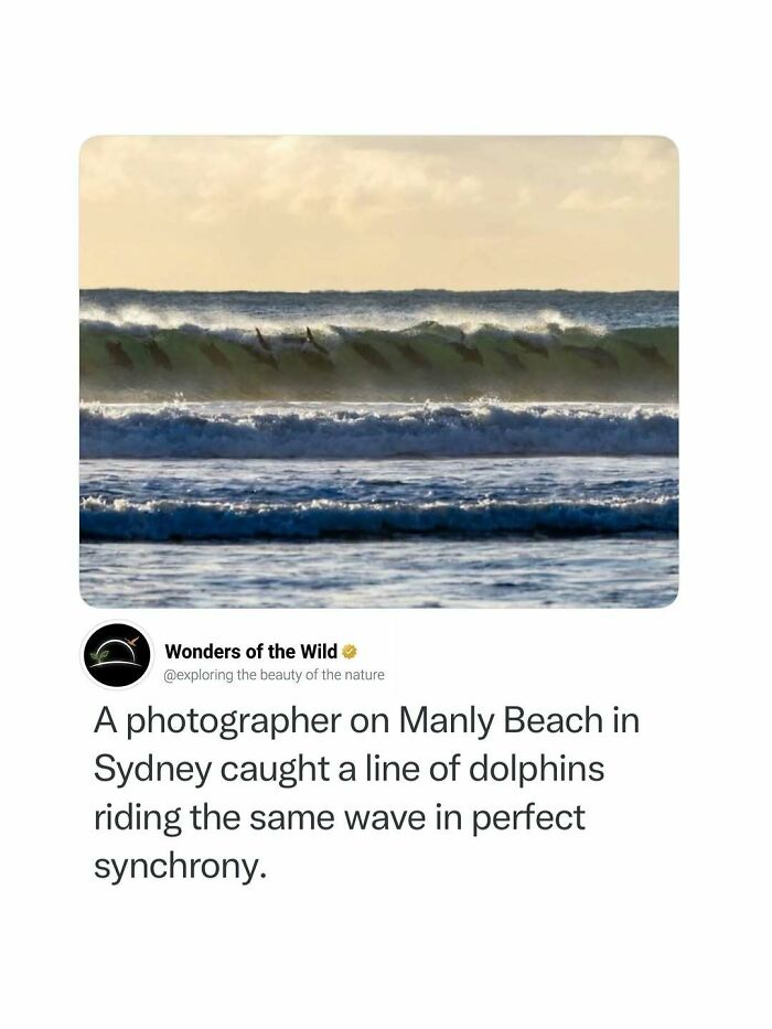 50 Fun And Interesting Facts To Add To Your Collection Of Random Knowledge (New Pics) 50 Fun And Interesting Facts To Add To Your Collection Of Random Knowledge (New Pics)