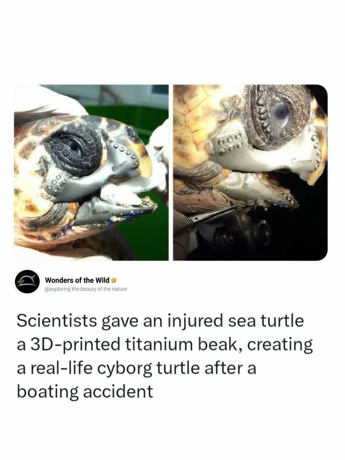 50 Fun And Interesting Facts To Add To Your Collection Of Random Knowledge (New Pics) 50 Fun And Interesting Facts To Add To Your Collection Of Random Knowledge (New Pics)