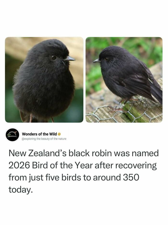 50 Fun And Interesting Facts To Add To Your Collection Of Random Knowledge (New Pics) 50 Fun And Interesting Facts To Add To Your Collection Of Random Knowledge (New Pics)
