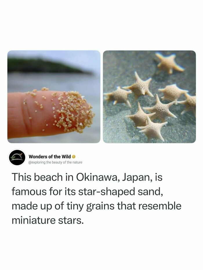 50 Fun And Interesting Facts To Add To Your Collection Of Random Knowledge (New Pics) 50 Fun And Interesting Facts To Add To Your Collection Of Random Knowledge (New Pics)