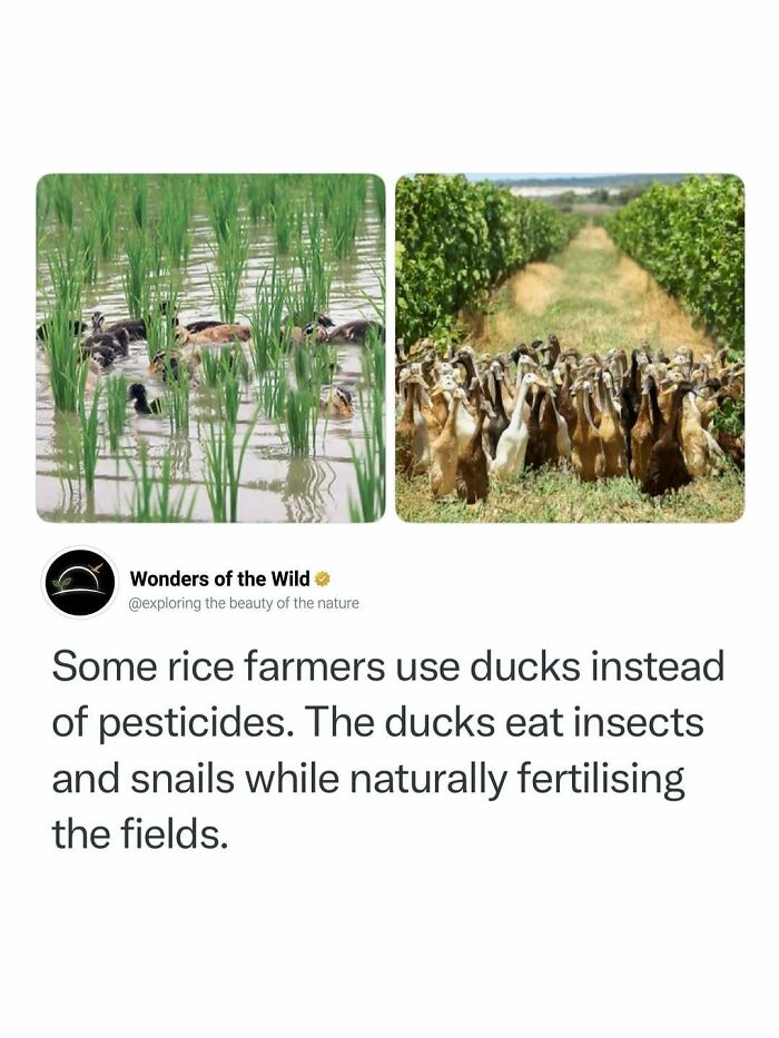50 Fun And Interesting Facts To Add To Your Collection Of Random Knowledge (New Pics) 50 Fun And Interesting Facts To Add To Your Collection Of Random Knowledge (New Pics)