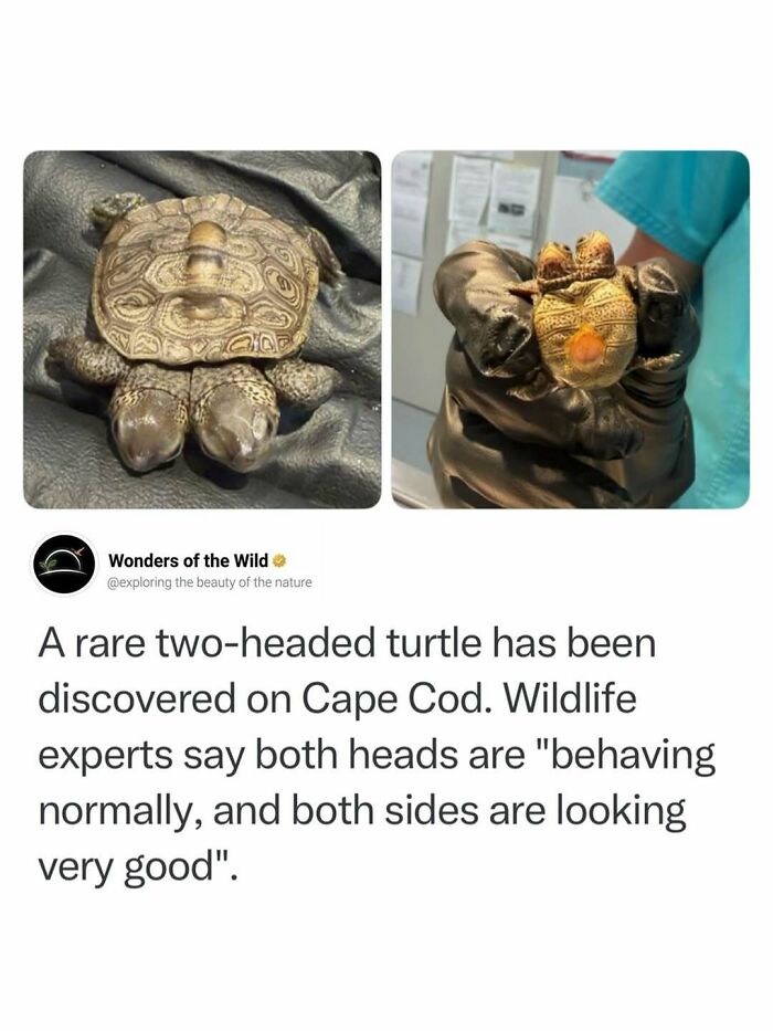 50 Fun And Interesting Facts To Add To Your Collection Of Random Knowledge (New Pics) 50 Fun And Interesting Facts To Add To Your Collection Of Random Knowledge (New Pics)