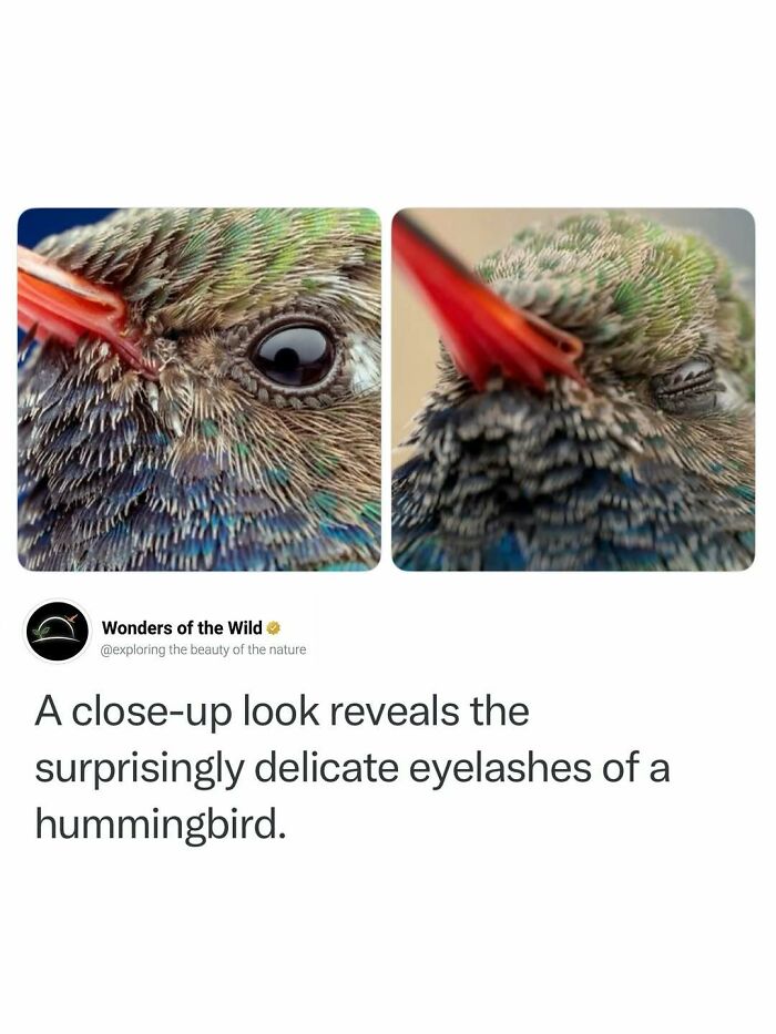 50 Fun And Interesting Facts To Add To Your Collection Of Random Knowledge (New Pics) 50 Fun And Interesting Facts To Add To Your Collection Of Random Knowledge (New Pics)