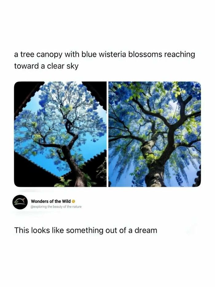 50 Fun And Interesting Facts To Add To Your Collection Of Random Knowledge (New Pics) 50 Fun And Interesting Facts To Add To Your Collection Of Random Knowledge (New Pics)