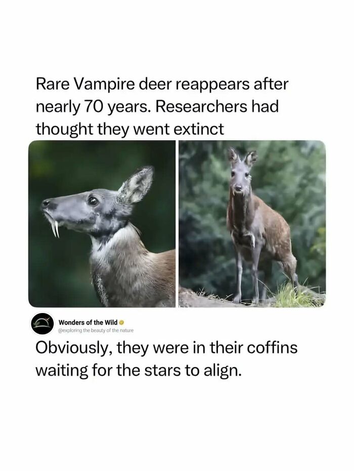 50 Fun And Interesting Facts To Add To Your Collection Of Random Knowledge (New Pics) 50 Fun And Interesting Facts To Add To Your Collection Of Random Knowledge (New Pics)