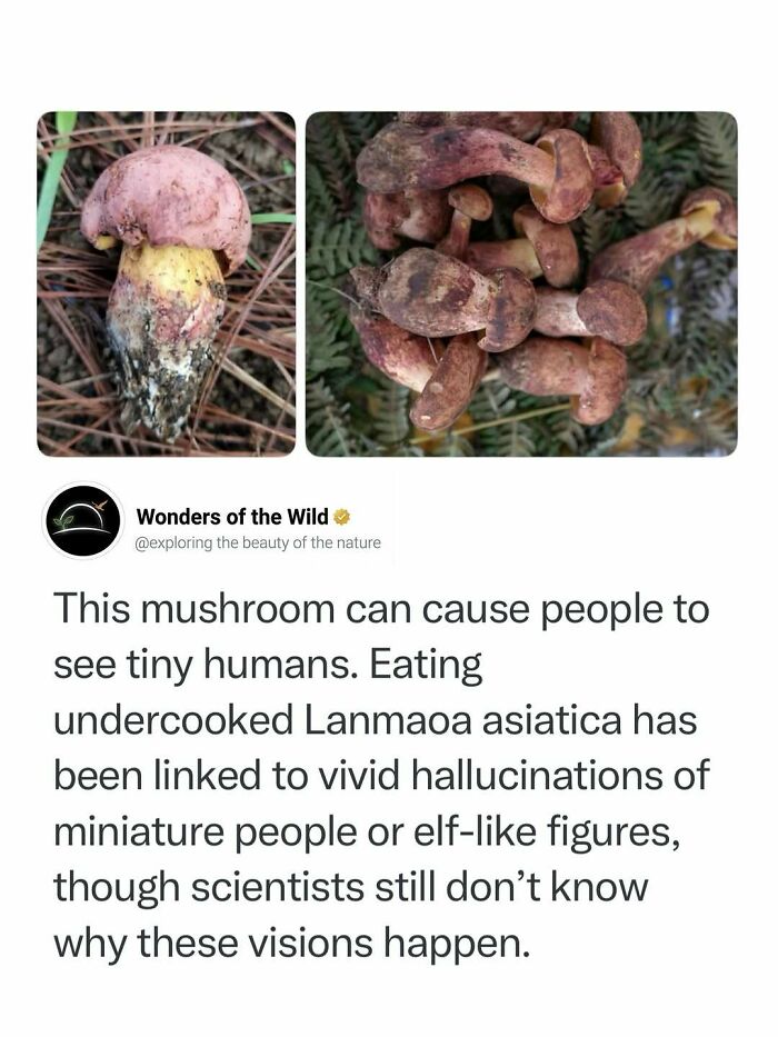 50 Fun And Interesting Facts To Add To Your Collection Of Random Knowledge (New Pics) 50 Fun And Interesting Facts To Add To Your Collection Of Random Knowledge (New Pics)