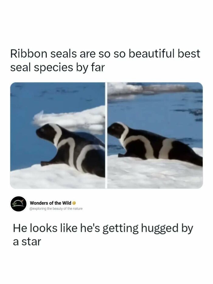 50 Fun And Interesting Facts To Add To Your Collection Of Random Knowledge (New Pics) 50 Fun And Interesting Facts To Add To Your Collection Of Random Knowledge (New Pics)