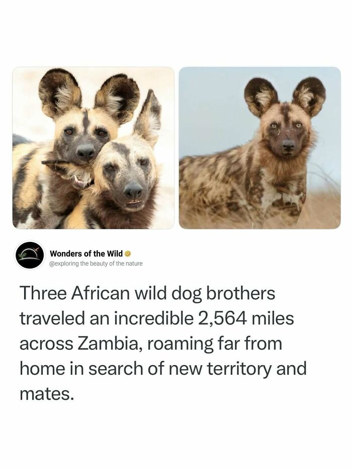 50 Fun And Interesting Facts To Add To Your Collection Of Random Knowledge (New Pics) 50 Fun And Interesting Facts To Add To Your Collection Of Random Knowledge (New Pics)