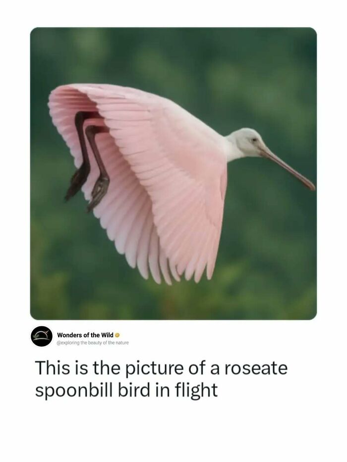 50 Fun And Interesting Facts To Add To Your Collection Of Random Knowledge (New Pics) 50 Fun And Interesting Facts To Add To Your Collection Of Random Knowledge (New Pics)