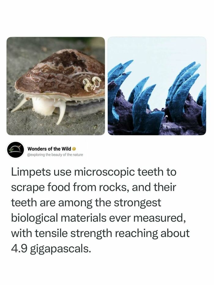 50 Fun And Interesting Facts To Add To Your Collection Of Random Knowledge (New Pics) 50 Fun And Interesting Facts To Add To Your Collection Of Random Knowledge (New Pics)