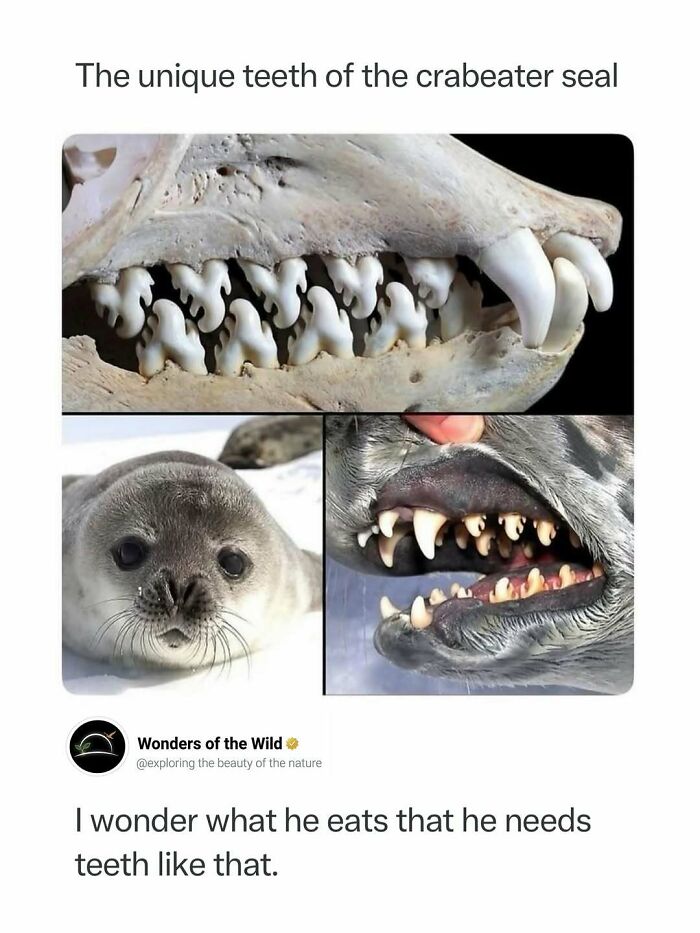 50 Fun And Interesting Facts To Add To Your Collection Of Random Knowledge (New Pics) 50 Fun And Interesting Facts To Add To Your Collection Of Random Knowledge (New Pics)
