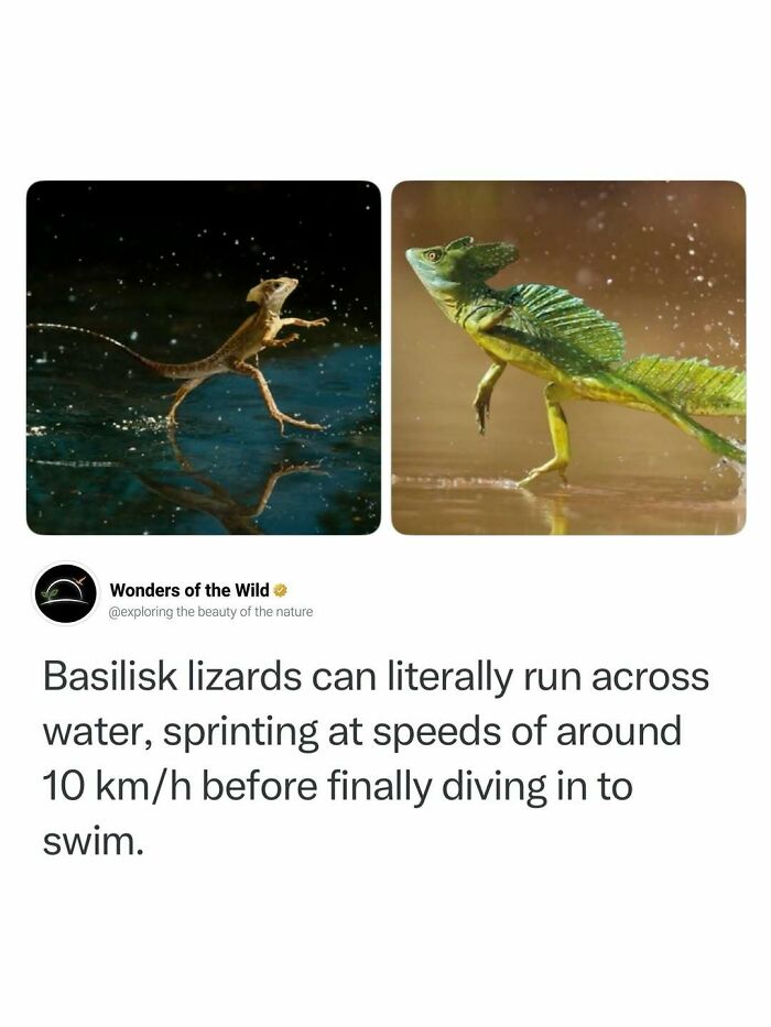 50 Fun And Interesting Facts To Add To Your Collection Of Random Knowledge (New Pics) 50 Fun And Interesting Facts To Add To Your Collection Of Random Knowledge (New Pics)