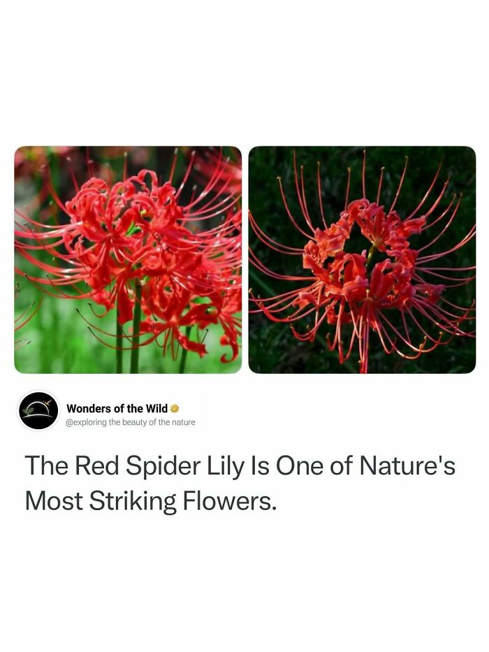 50 Fun And Interesting Facts To Add To Your Collection Of Random Knowledge (New Pics) 50 Fun And Interesting Facts To Add To Your Collection Of Random Knowledge (New Pics)