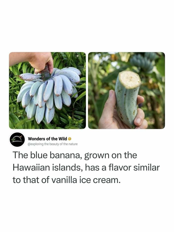 50 Fun And Interesting Facts To Add To Your Collection Of Random Knowledge (New Pics) 50 Fun And Interesting Facts To Add To Your Collection Of Random Knowledge (New Pics)