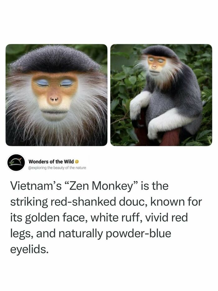 50 Fun And Interesting Facts To Add To Your Collection Of Random Knowledge (New Pics) 50 Fun And Interesting Facts To Add To Your Collection Of Random Knowledge (New Pics)