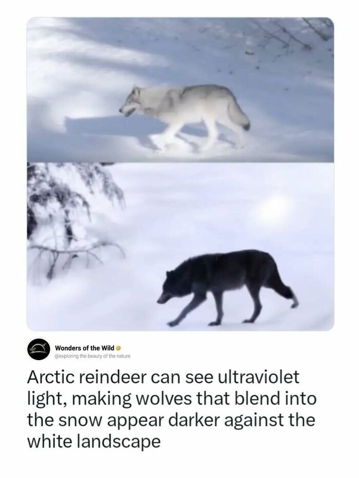 50 Fun And Interesting Facts To Add To Your Collection Of Random Knowledge (New Pics) 50 Fun And Interesting Facts To Add To Your Collection Of Random Knowledge (New Pics)