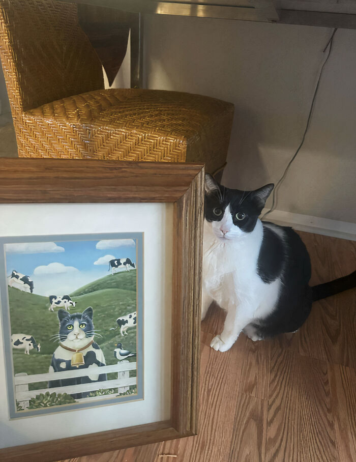 86 Thrift Store Finds That Made Digging Through Secondhand Shelves Totally Worth It 86 Thrift Store Finds That Made Digging Through Secondhand Shelves Totally Worth It