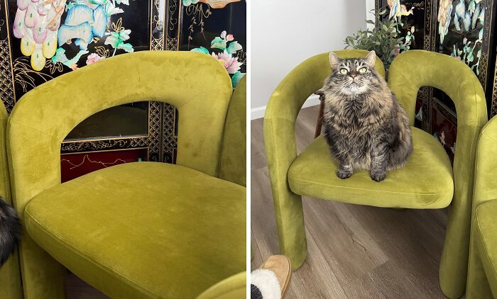 86 Thrift Store Finds That Made Digging Through Secondhand Shelves Totally Worth It 86 Thrift Store Finds That Made Digging Through Secondhand Shelves Totally Worth It