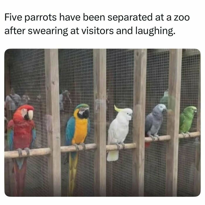 86 Fascinating Stories And Random Finds From The Internet That Are Actually Worth Your Time 86 Fascinating Stories And Random Finds From The Internet That Are Actually Worth Your Time
