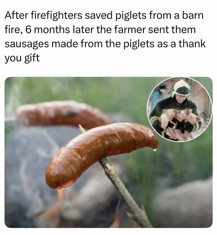 86 Fascinating Stories And Random Finds From The Internet That Are Actually Worth Your Time 86 Fascinating Stories And Random Finds From The Internet That Are Actually Worth Your Time
