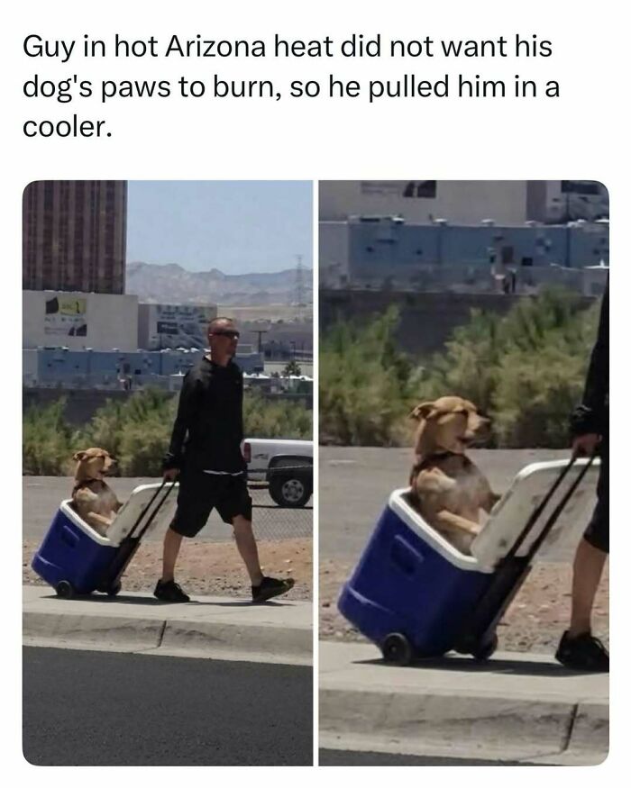 86 Fascinating Stories And Random Finds From The Internet That Are Actually Worth Your Time 86 Fascinating Stories And Random Finds From The Internet That Are Actually Worth Your Time