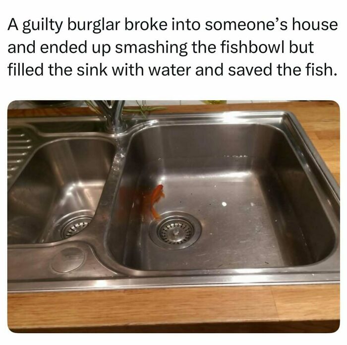 86 Fascinating Stories And Random Finds From The Internet That Are Actually Worth Your Time 86 Fascinating Stories And Random Finds From The Internet That Are Actually Worth Your Time
